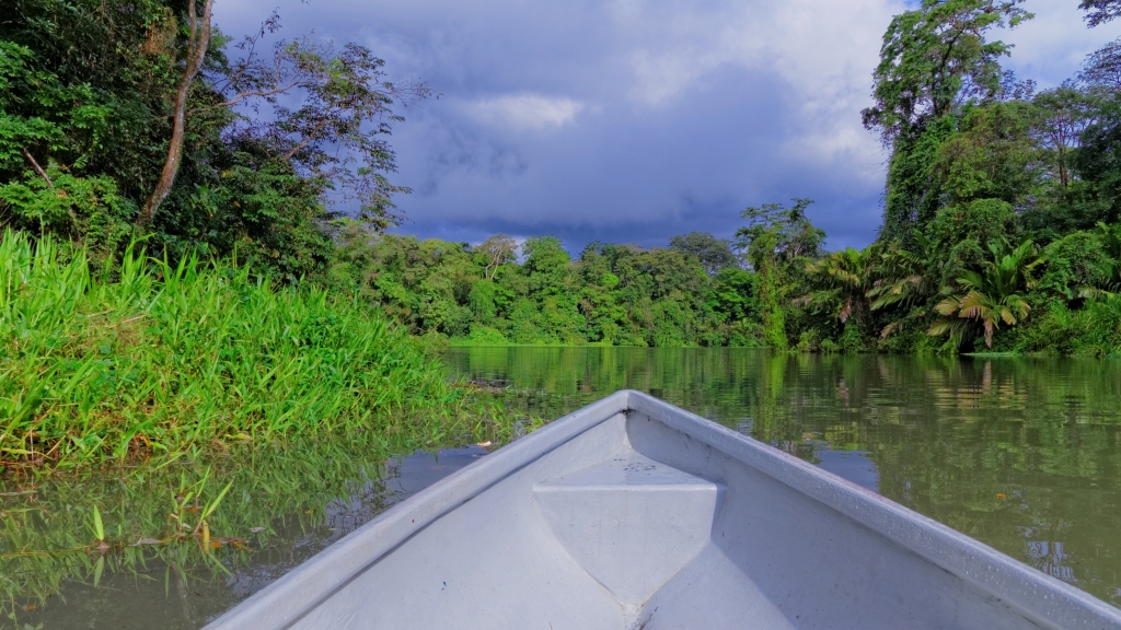 25 - Tortuguero NP (32).jpg